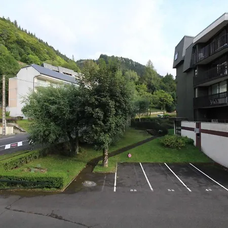 Appartement Studio Mont-Dore, 1 pièce, 4 personnes - FR-1-608-219 *